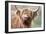 Highland Cattle Chewing on Grass-null-Framed Photographic Print