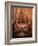 Highland Cattle, Head Close-Up, Scotland-Niall Benvie-Framed Photographic Print