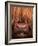 Highland Cattle, Head Close-Up, Scotland-Niall Benvie-Framed Photographic Print