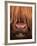 Highland Cattle, Head Close-Up, Scotland-Niall Benvie-Framed Photographic Print