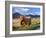 Highland Cattle, Isle of Mull, Inner Hebrides, Scotland, Uk-Patrick Dieudonne-Framed Photographic Print