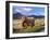 Highland Cattle, Isle of Mull, Inner Hebrides, Scotland, Uk-Patrick Dieudonne-Framed Photographic Print