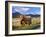 Highland Cattle, Isle of Mull, Inner Hebrides, Scotland, Uk-Patrick Dieudonne-Framed Photographic Print