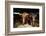 Highland cattle, Scotland, United Kingdom, Europe-John Alexander-Framed Photographic Print