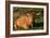 Highland Cattle, Scotland-Peter Thompson-Framed Photographic Print