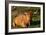 Highland Cattle, Scotland-Peter Thompson-Framed Photographic Print