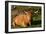 Highland Cattle, Scotland-Peter Thompson-Framed Photographic Print