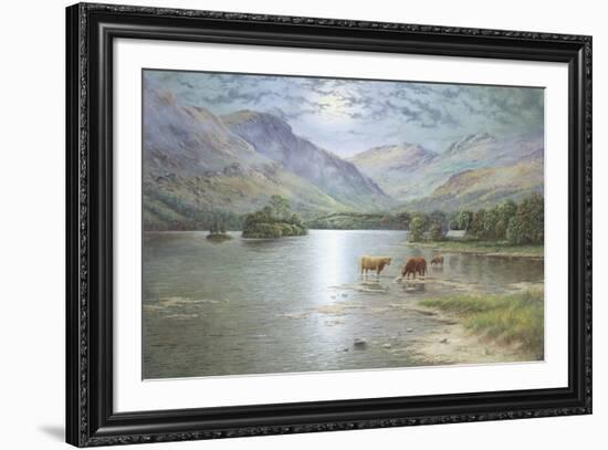 Highland Cattle-Spencer Coleman-Framed Giclee Print