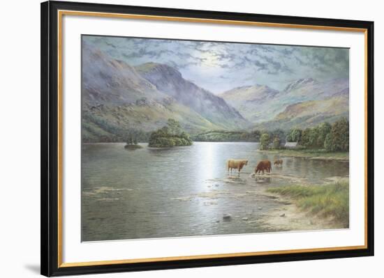 Highland Cattle-Spencer Coleman-Framed Giclee Print