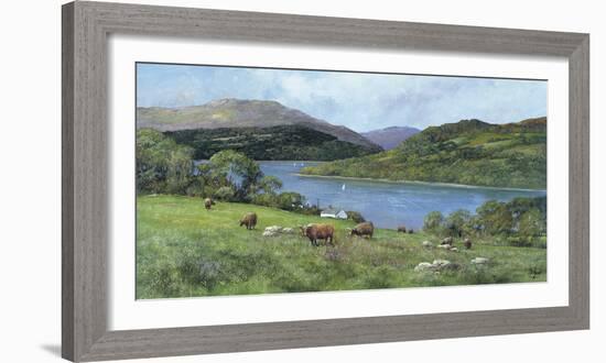 Highland Cattle-Clive Madgwick-Framed Giclee Print