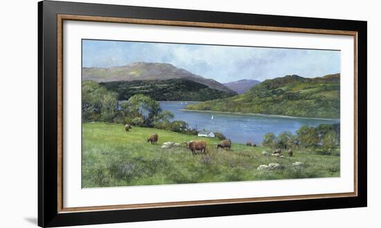 Highland Cattle-Clive Madgwick-Framed Giclee Print