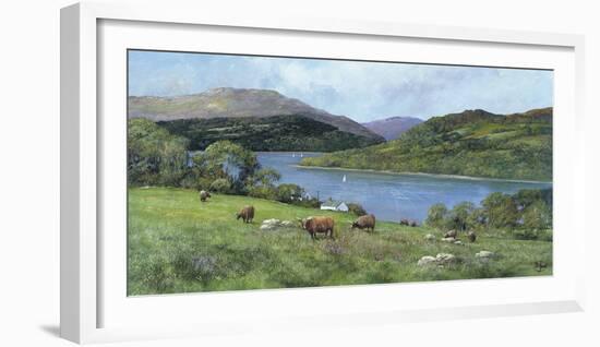 Highland Cattle-Clive Madgwick-Framed Giclee Print