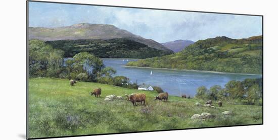 Highland Cattle-Clive Madgwick-Mounted Giclee Print