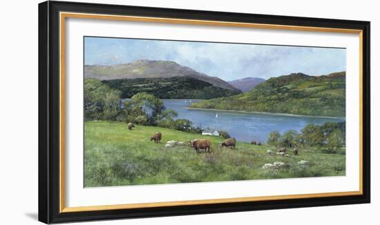 Highland Cattle-Clive Madgwick-Framed Giclee Print