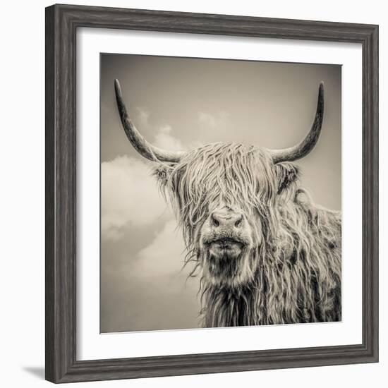 Highland Cattle-Mark Gemmell-Framed Premium Photographic Print