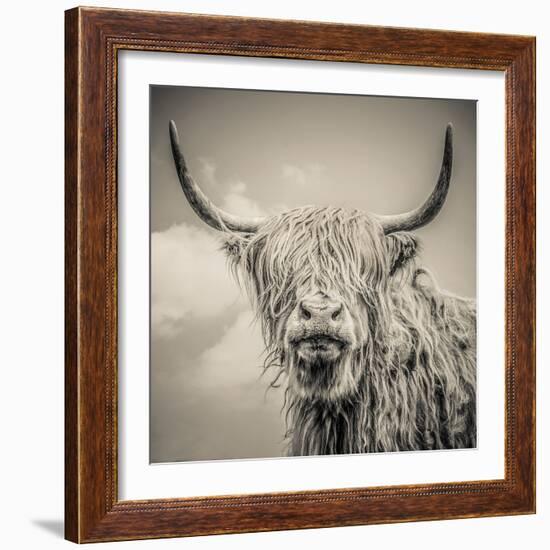 Highland Cattle-Mark Gemmell-Framed Premium Photographic Print