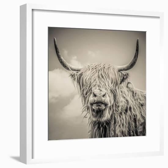 Highland Cattle-Mark Gemmell-Framed Premium Photographic Print