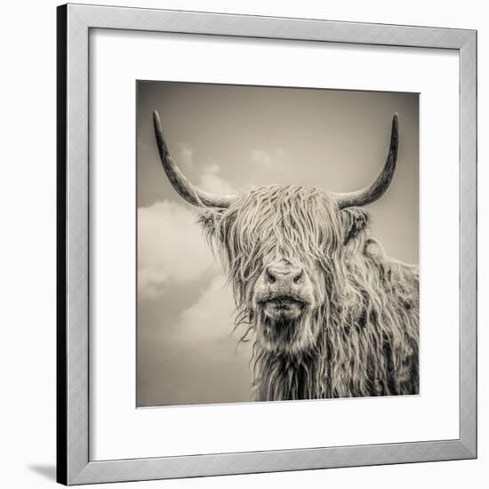 Highland Cattle-Mark Gemmell-Framed Premium Photographic Print