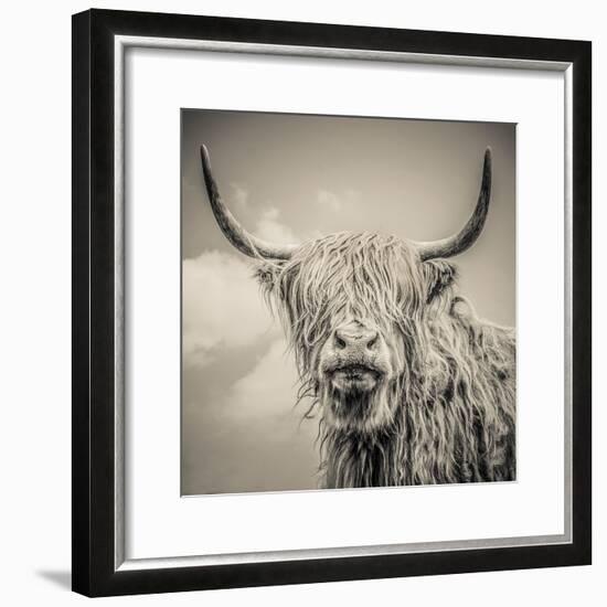 Highland Cattle-Mark Gemmell-Framed Premium Photographic Print