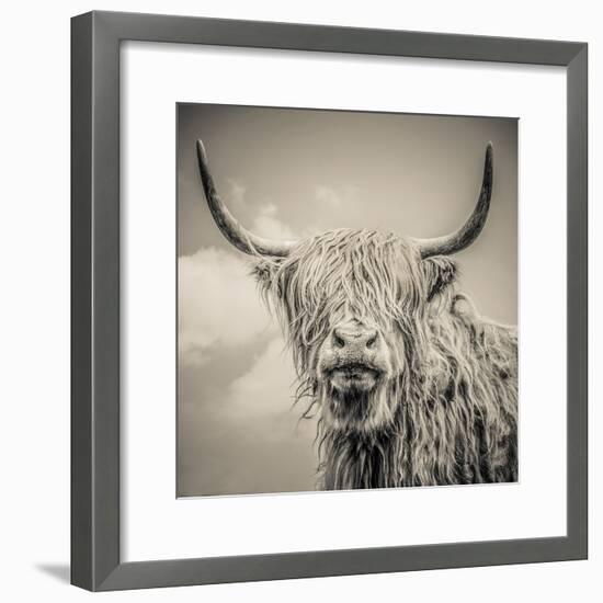 Highland Cattle-Mark Gemmell-Framed Premium Photographic Print