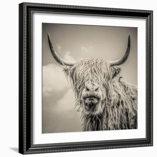 Highland Cattle-Mark Gemmell-Framed Premium Photographic Print