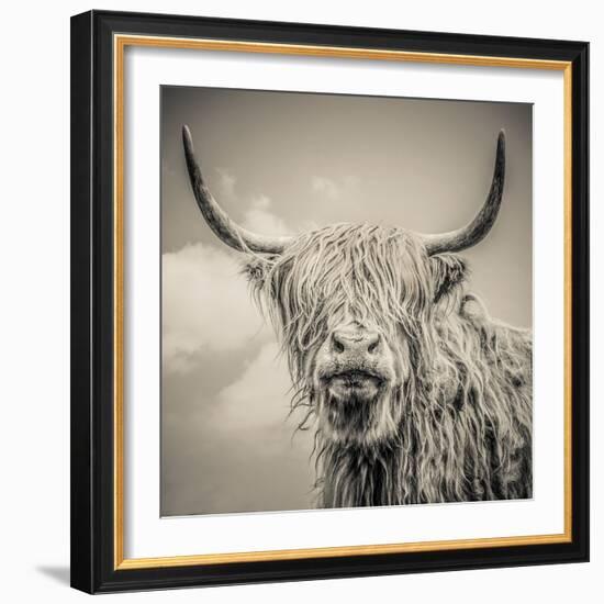 Highland Cattle-Mark Gemmell-Framed Premium Photographic Print