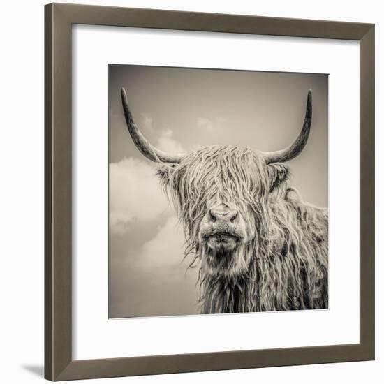 Highland Cattle-Mark Gemmell-Framed Premium Photographic Print