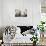Highland Cattle-Mark Gemmell-Photographic Print displayed on a wall