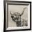 Highland Cattle-Mark Gemmell-Framed Premium Photographic Print