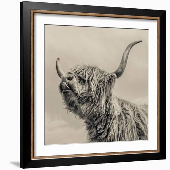 Highland Cattle-Mark Gemmell-Framed Premium Photographic Print