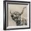 Highland Cattle-Mark Gemmell-Framed Premium Photographic Print