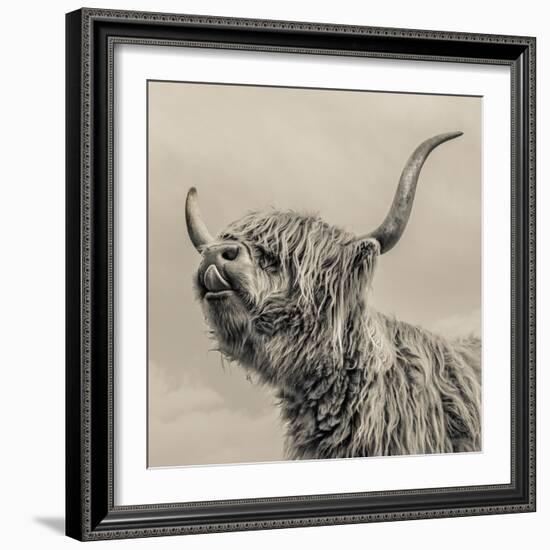 Highland Cattle-Mark Gemmell-Framed Premium Photographic Print