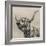 Highland Cattle-Mark Gemmell-Framed Photographic Print