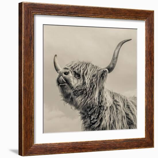 Highland Cattle-Mark Gemmell-Framed Photographic Print