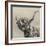 Highland Cattle-Mark Gemmell-Framed Photographic Print