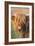 Highland Cattle-null-Framed Photographic Print