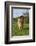 Highland Cattle-null-Framed Photographic Print