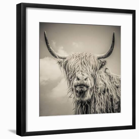 Highland Cattle-Mark Gemmell-Framed Photographic Print