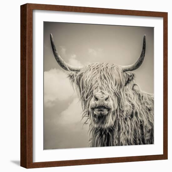 Highland Cattle-Mark Gemmell-Framed Photographic Print