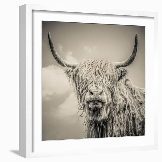 Highland Cattle-Mark Gemmell-Framed Photographic Print