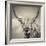 Highland Cattle-Mark Gemmell-Framed Photographic Print