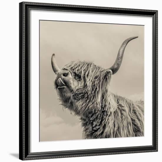Highland Cattle-Mark Gemmell-Framed Giclee Print
