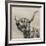 Highland Cattle-Mark Gemmell-Framed Giclee Print