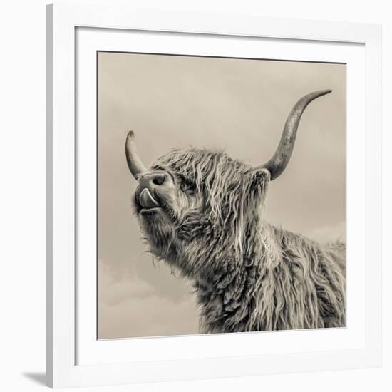 Highland Cattle-Mark Gemmell-Framed Giclee Print