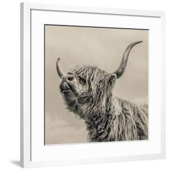 Highland Cattle-Mark Gemmell-Framed Giclee Print