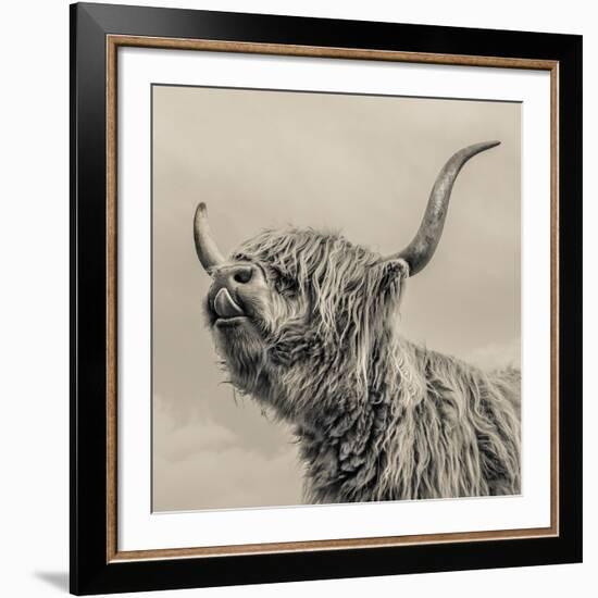 Highland Cattle-Mark Gemmell-Framed Giclee Print