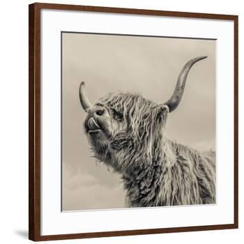 Highland Cattle-Mark Gemmell-Framed Giclee Print