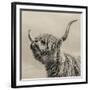 Highland Cattle-Mark Gemmell-Framed Giclee Print