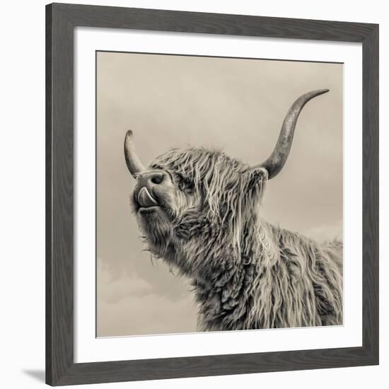 Highland Cattle-Mark Gemmell-Framed Giclee Print