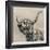 Highland Cattle-Mark Gemmell-Framed Giclee Print